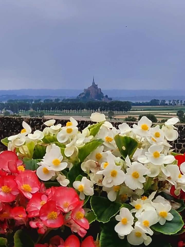 Chambre D'Hotes Cote Rance La Ville-ès-Nonais Exteriér fotografie